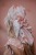 DSC_2409-Edit.jpg