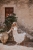 DSC_8988-Edit.JPG