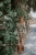 DSC_5501-Edit.jpg