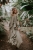 DSC_8911-Edit.jpg