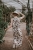 DSC_1149-Edit.jpg