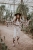 DSC_1171-Edit.jpg