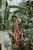 DSC_9140-Edit.jpg