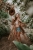 DSC_9267-Edit.jpg