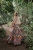 DSC_7995-Edit.jpg