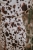 DSC_0495-Edit.jpg