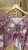IMG_3011.jpeg