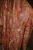 DSC_1880-Edit.jpg