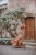 DSC_1906-Edit.jpg
