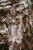 DSC_0017-Edit.jpg