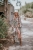 DSC_9860-Edit.jpg