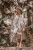 DSC_9974-Edit.jpg