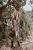 DSC_8449-Edit.jpg