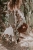 DSC_8515-Edit.jpg