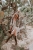 DSC_8575-Edit.jpg