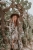 DSC_8652-Edit.jpg