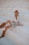 DSC_6535-Edit.jpg