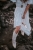 DSC_3526-Edit.jpg