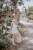 DSC_9703-Edit.jpg