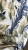 IMG_8712.jpeg